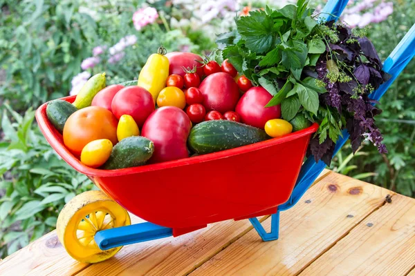 Тележка со свежими овощами — стоковое фото