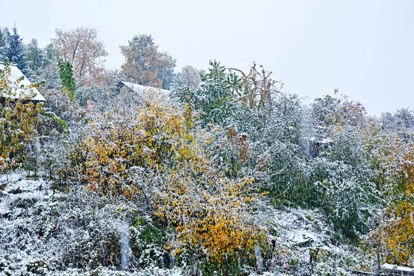 First snow in the village — Stock Photo, Image