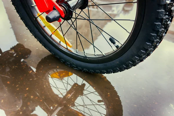 Primer Plano Rueda Bicicleta Que Atraviesa Charco — Foto de Stock