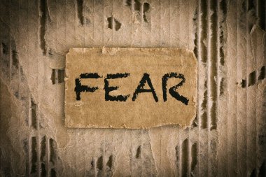 Lime lime oluklu karton arka plan üzerinde kelime korku ile karton parçası. Yakın çekim.