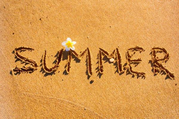 Palavra Verão escrito na areia da praia com flor . — Fotografia de Stock