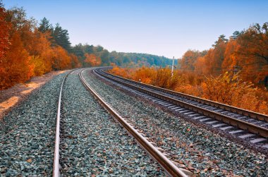 Tren sonbahar ormanı manzaralı raylar.. 