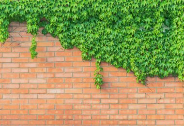 stok fotoğraf eski doku tuğla duvar arka plan ayrıntılı