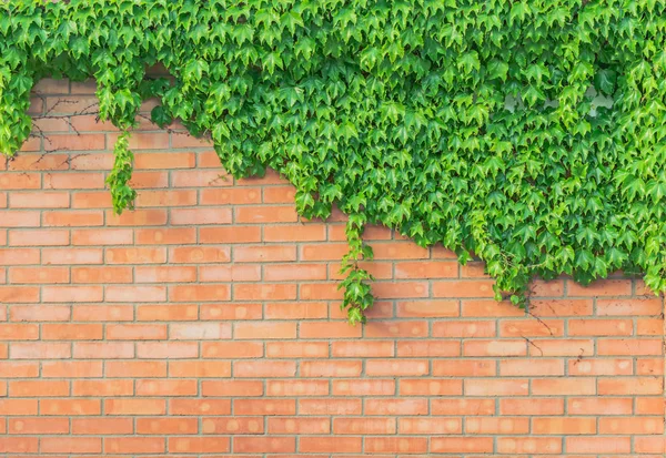 stok fotoğraf eski doku tuğla duvar arka plan ayrıntılı