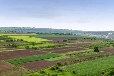 Tarım alanlarının havadan görünümü fotoğraf