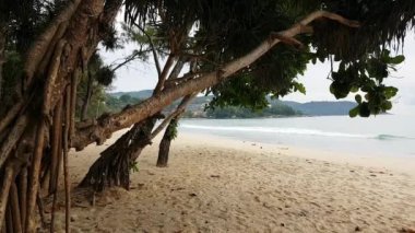 Tayland 'daki boş Kata Sahili 19. Koydan dolayı kapatıldı.