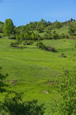 Yeşil tepeler inanılmaz manzara yakınındaki köy Fotinovo Rodop dağ, Pazarcık bölge, Bulgaristan
