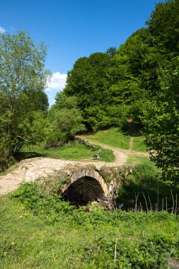 Rodop dağ, Pazarcık bölge, Bulgaristan Fotinovo köyü yakınındaki Fotinovo Nehri üzerinde eski taş köprü