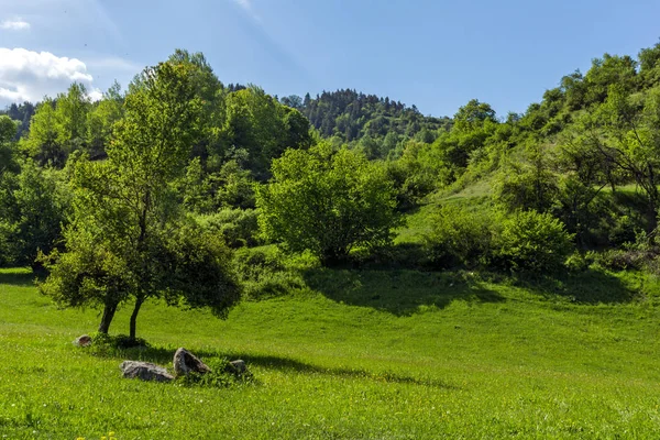保加利亚 Pazardzhik Rhodopes Fotinovo 村附近的绿色丘陵景观令人惊叹 — 图库照片
