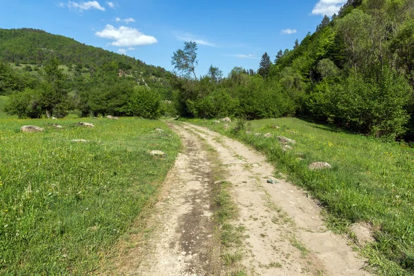 Verbazingwekkende Landschap Van Groene Heuvels Buurt Van Dorp Van Fotinovo — Stockfoto