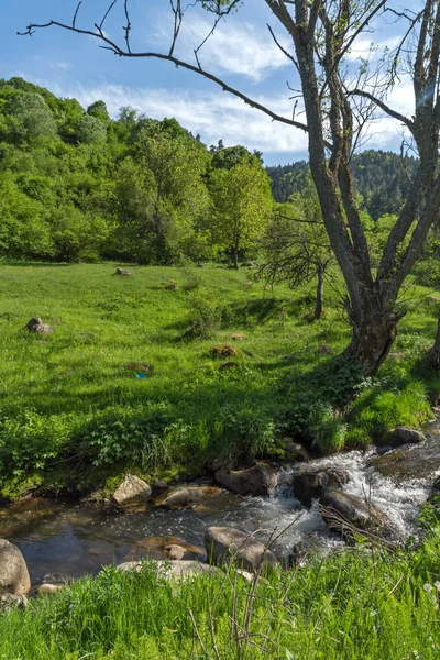 Дивовижний Краєвид Зелених Пагорбів Поблизу Села Fotinovo Rhodopes Гори Pazardzhik — стокове фото