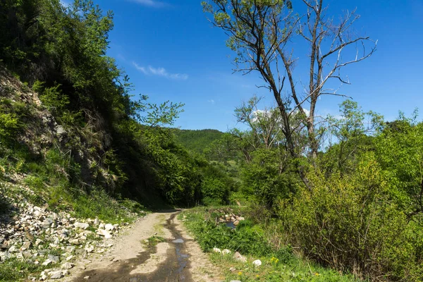 Increíble Paisaje Green Hills Cerca Aldea Fotinovo Montaña Rhodopes Región — Foto de Stock