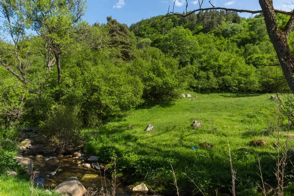 Amazing Landscape Green Hills Village Fotinovo Rhodopes Mountain Pazardzhik Region — Stock Photo, Image