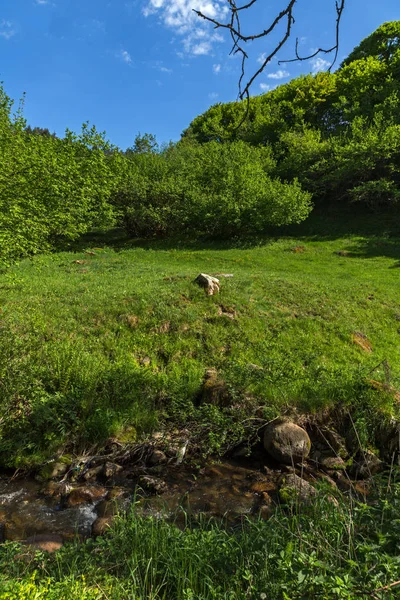 Amazing Landscape Green Hills Village Fotinovo Rhodopes Mountain Pazardzhik Region — Stock Photo, Image