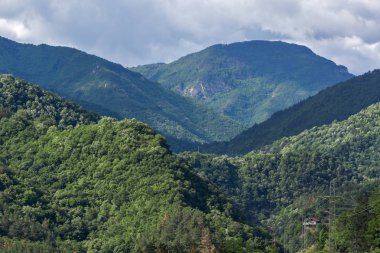 Yeşil tepeler inanılmaz manzara yakınındaki Şehir Plovdiv Bölge, Bulgaristan Asenovgrad Rodop dağlarında