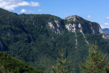 Muhteşem manzara yeşil tepelerin yakınındaki Village Borovo Rodop dağlarında Plovdiv Bölge, Bulgaristan