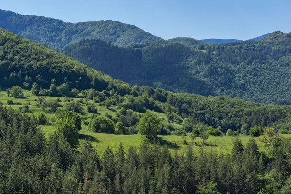 保加利亚普罗夫迪夫 Rhodope Borovo 村附近绿色丘陵的惊人景观 — 图库照片