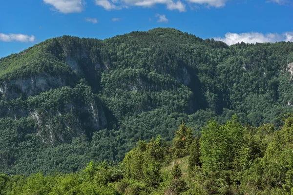 Paisagem Incrível Green Hills Perto Village Borovo Rhodope Mountains Região — Fotografia de Stock