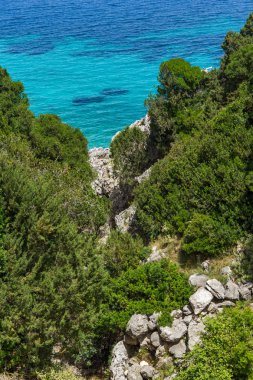 Kefalonia, Ionian Islands, Yunanistan için mavi suları ile küçük plaj