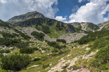 Banderitsa Nehri Vadisi, Pirin Dağı, Bulgaristan