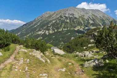 Banderitsa Nehri Vadisi, Pirin Dağı, Bulgaristan