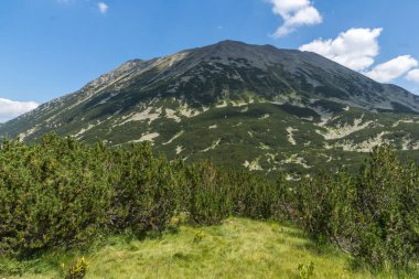 Banderitsa Nehri Vadisi, Pirin Dağı, Bulgaristan