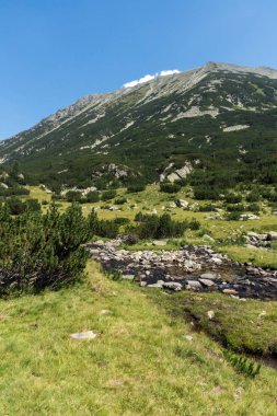 Banderitsa Nehri Vadisi, Pirin Dağı, Bulgaristan