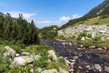 Banderitsa Nehri Vadisi, Pirin Dağı, Bulgaristan