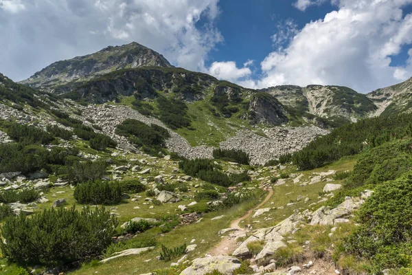 Τοπίο Banderitsa River Valley Pirin Mountain Βουλγαρία — Φωτογραφία Αρχείου