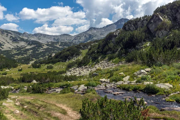 Landscape Dengan Banderitsa River Valley Pirin Mountain Bulgaria — Stok Foto
