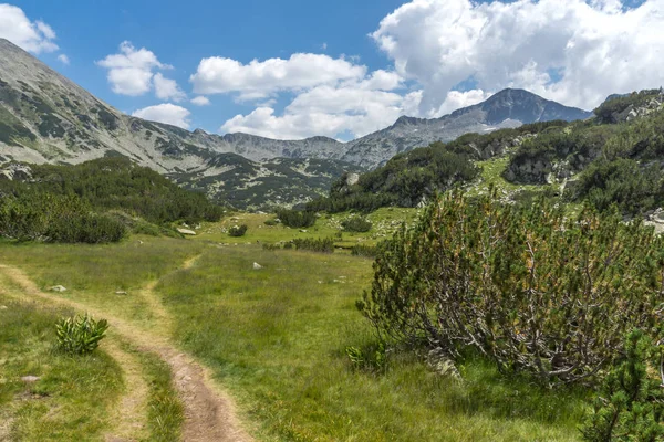 Banderitsa Nehri Vadisi, Pirin Dağı, Bulgaristan