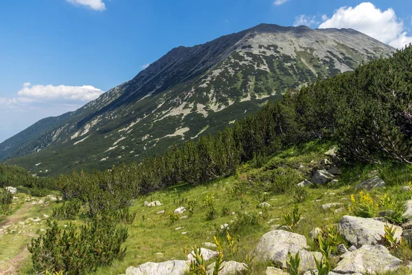 Banderitsa Nehri Vadisi, Pirin Dağı, Bulgaristan