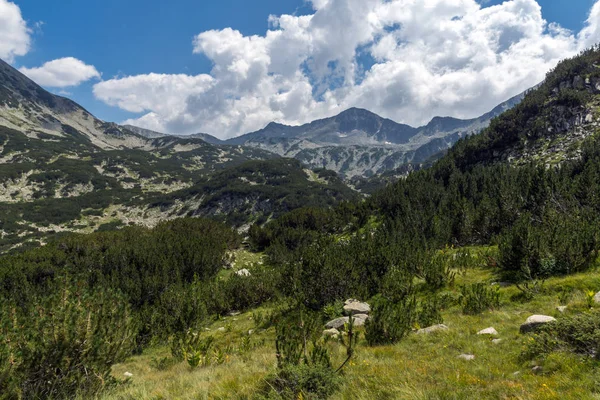Landscape Banderitsa River Valley Pirin Mountain Bulgaria — Stock Photo, Image
