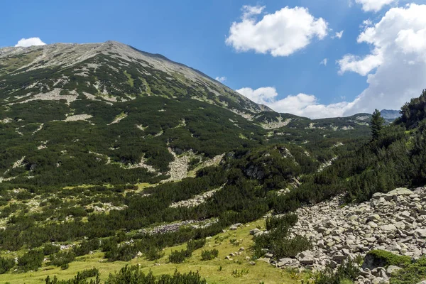 Paisaje Con Valle Del Río Banderitsa Montaña Pirin Bulgaria —  Fotos de Stock