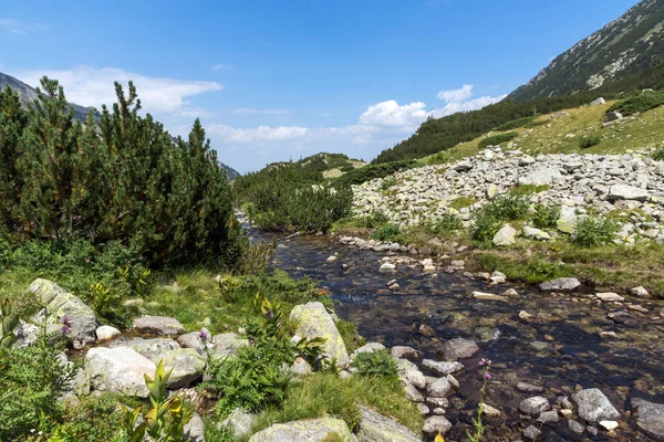 Пейзаж Долиною Річки Бандерица Пірін Гора Болгарія — стокове фото