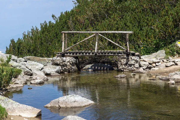 Pirin 불가리아 다리와 — 스톡 사진