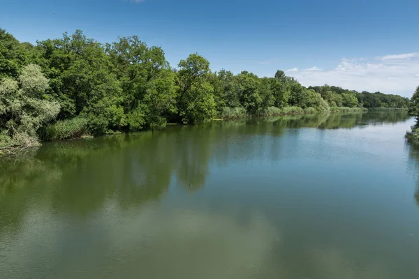 Veleka Rvier, Burgaz bölge, Bulgaristan etrafında yeşil orman ile manzara