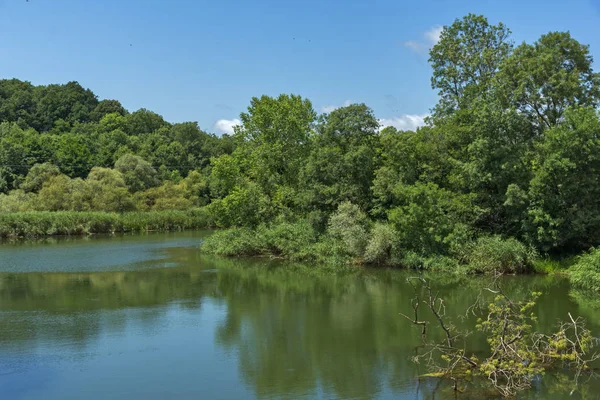 Veleka Rvier, Burgaz bölge, Bulgaristan etrafında yeşil orman ile manzara