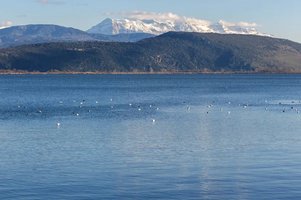 Şaşırtıcı kış manzara Lake Pamvotida ve Pindus dağdan Yanya şehir, Epirus, Yunanistan
