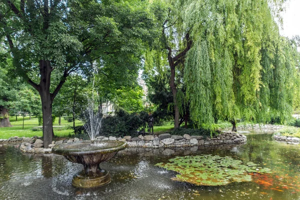 Plovdiv, Bulgaristan - 25 Mayıs 2018: Çar Simeon Bahçe Şehir Plovdiv, Bulgaristan, ağaçlar 