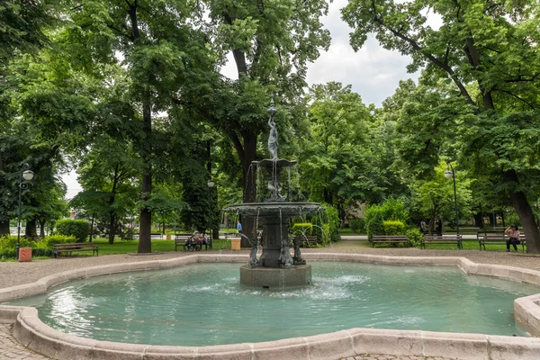 Plovdiv, Bulgaristan - 25 Mayıs 2018: Çar Simeon Bahçe Şehir Plovdiv, Bulgaristan, ağaçlar 