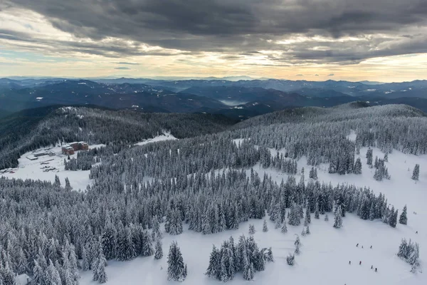 Increíble Paisaje Invernal Las Montañas Rhodope Cerca Pamporovo Resort Desde — Foto de Stock