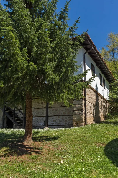 Vista Panorámica Del Monasterio Medieval Temski George Región Pirot República — Foto de Stock