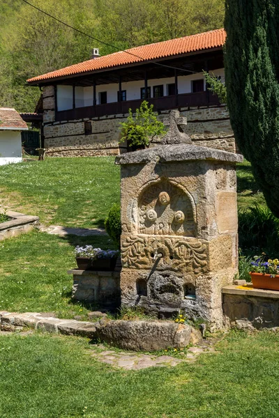 Panoramik Ortaçağ Temski Manastırı George Pirot Bölge Sırbistan — Stok fotoğraf