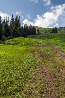 Yeşil hills adlı Vitosha Mountain, Sofya şehir bölge, Bulgaristan ile muhteşem manzara