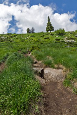 Yeşil hills adlı Vitosha Mountain, Sofya şehir bölge, Bulgaristan ile muhteşem manzara
