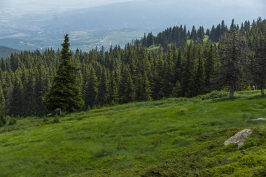 Yeşil hills adlı Vitosha Mountain, Sofya şehir bölge, Bulgaristan ile muhteşem manzara