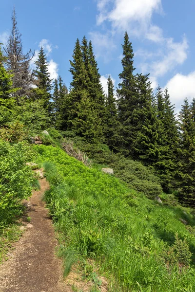 Paisaje Increíble Con Colinas Verdes Montaña Vitosha Región Ciudad Sofía — Foto de Stock