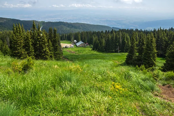 緑の丘に Vitosha 山やソフィア市地域 ブルガリアと素晴らしい風景 — ストック写真