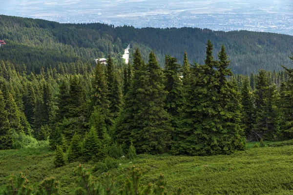 Yeşil Hills Adlı Vitosha Mountain Sofya Şehir Bölge Bulgaristan Ile — Stok fotoğraf